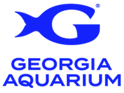 site logo